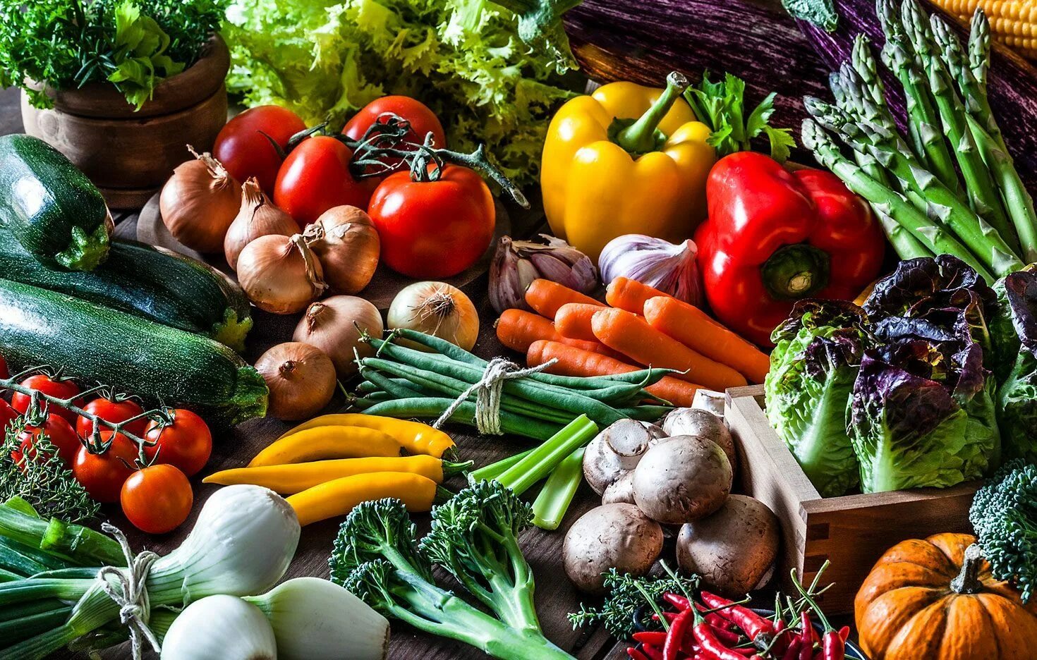 Красивые овощи. Растительная пища. Красивые овощи. Овощные продукты это. Продукты овощи.