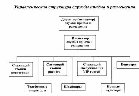 Организационная структура службы приема и размещения