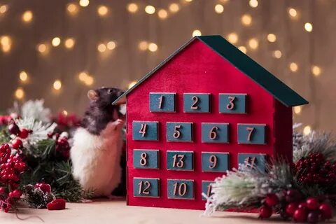 Адвент на 31 день