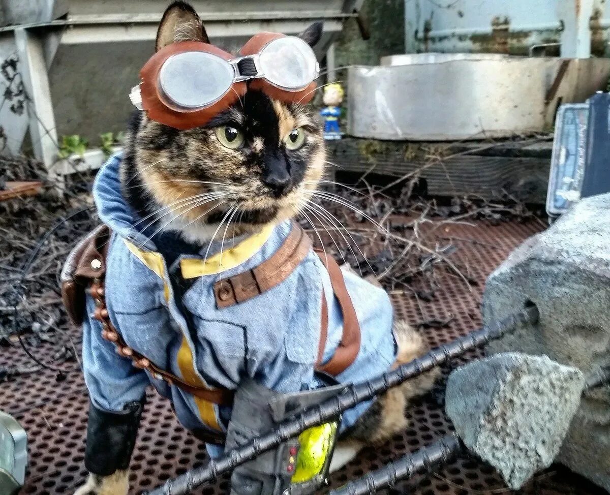 Кипи кот. Кот строитель. кот работяга. кот в каске. кот в каске на заводе.