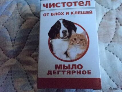 Мыть кошку дегтярным мылом