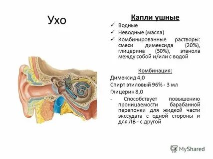 Насморк болит горло заложило ухо