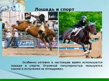 Время лошади
