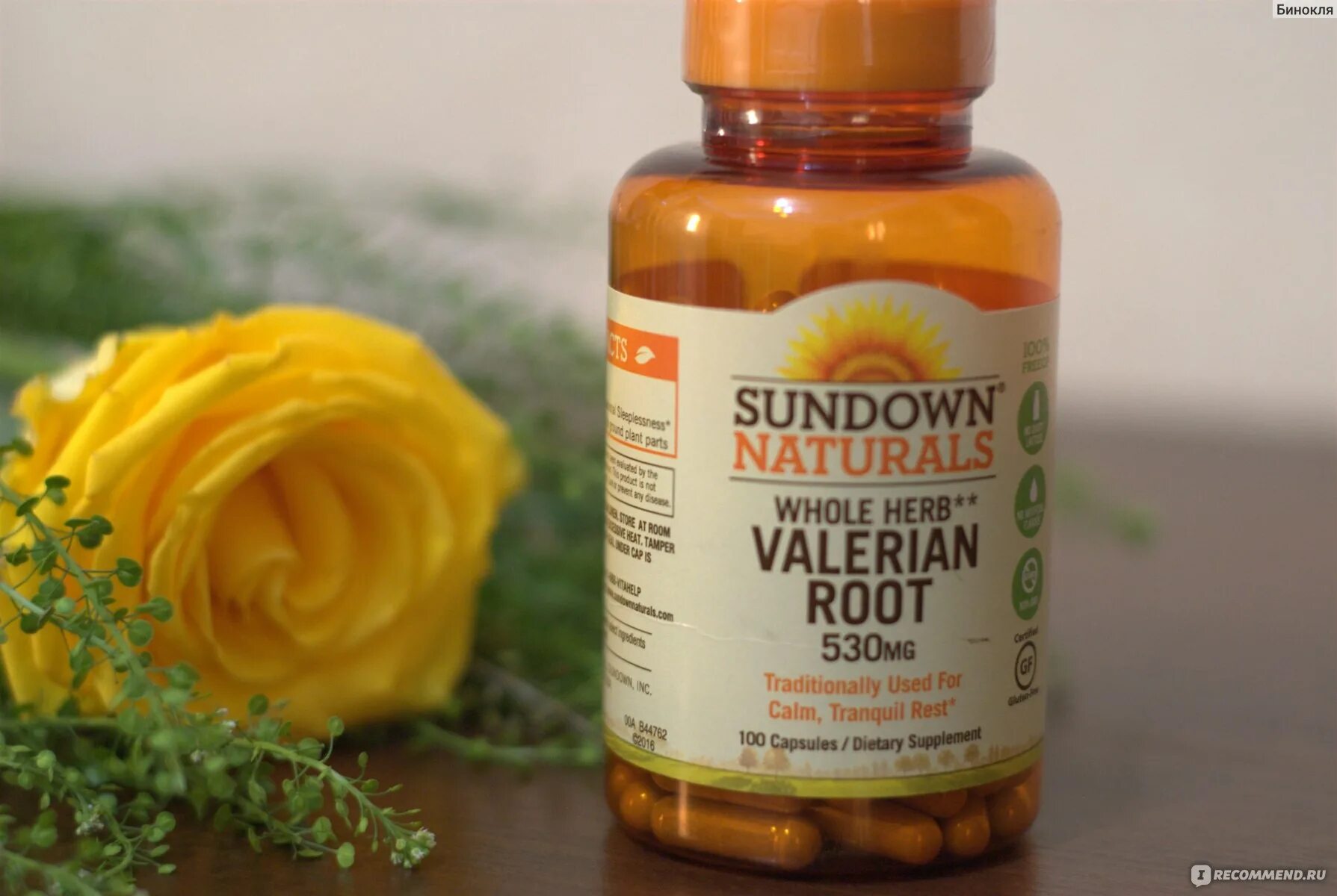 Валерьянка каждый день. БАД Sundown naturals whole Herb Valerian root, 530 MG (корень валерианы). Валерьянка с айхерб. Корень валерианы айхерб. Валериана айхерб таблетки.