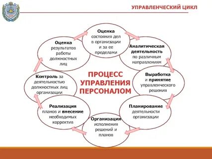 Оценка менеджмента организации