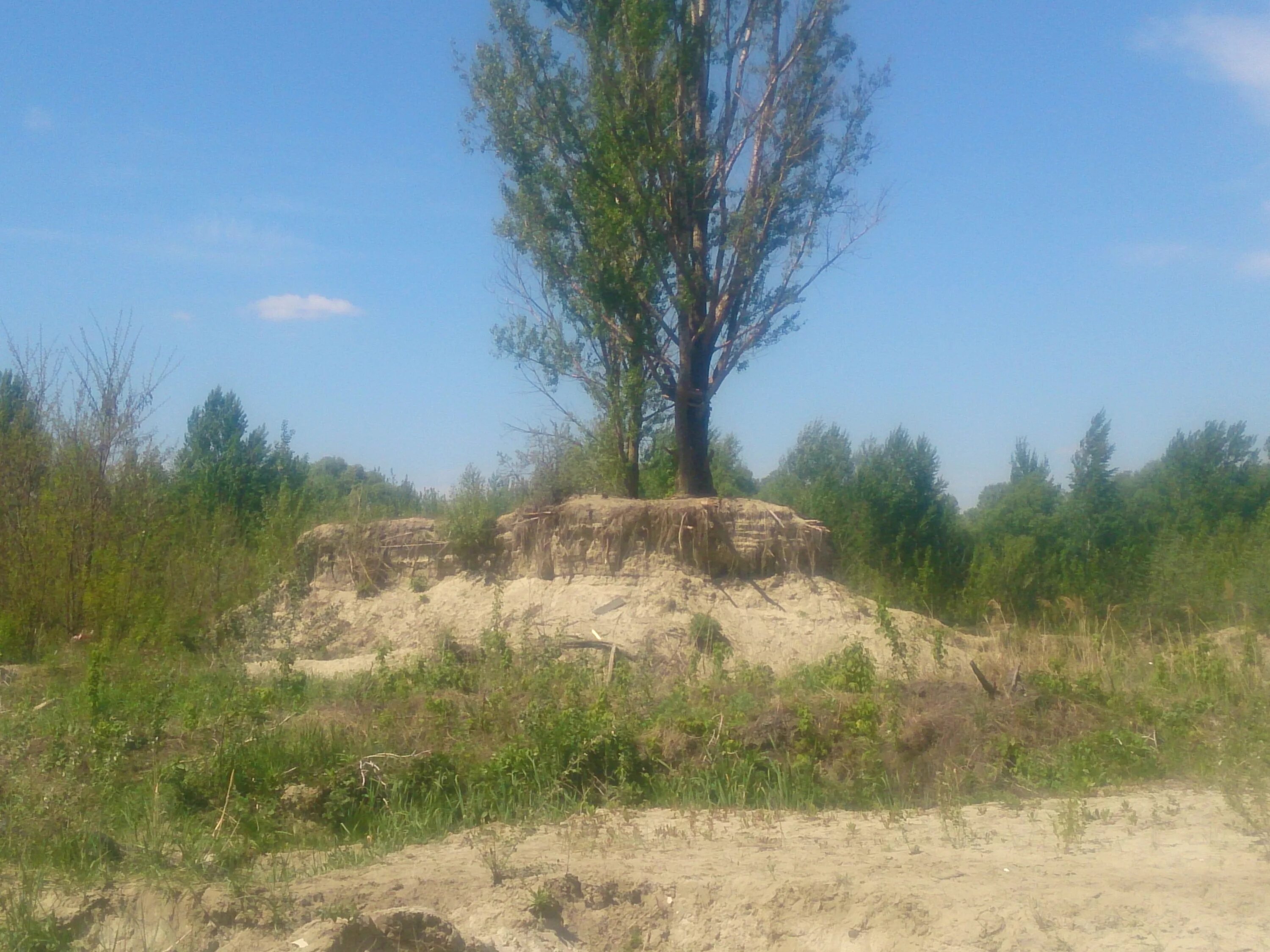 Старый холм. Старый Оскол холмы. Старый Оскол Бугры. Песчаный карьер в Старом Осколе. Песчаный бугор Кермись.