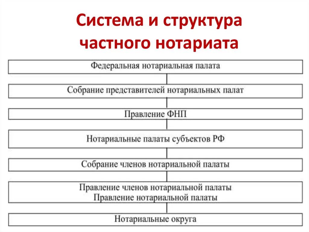 Система и функции органов адвокатуры. Структура нотариальных органов РФ. Схема нотариата РФ. Структура нотариата в РФ схема. Система органов нотариата в РФ.