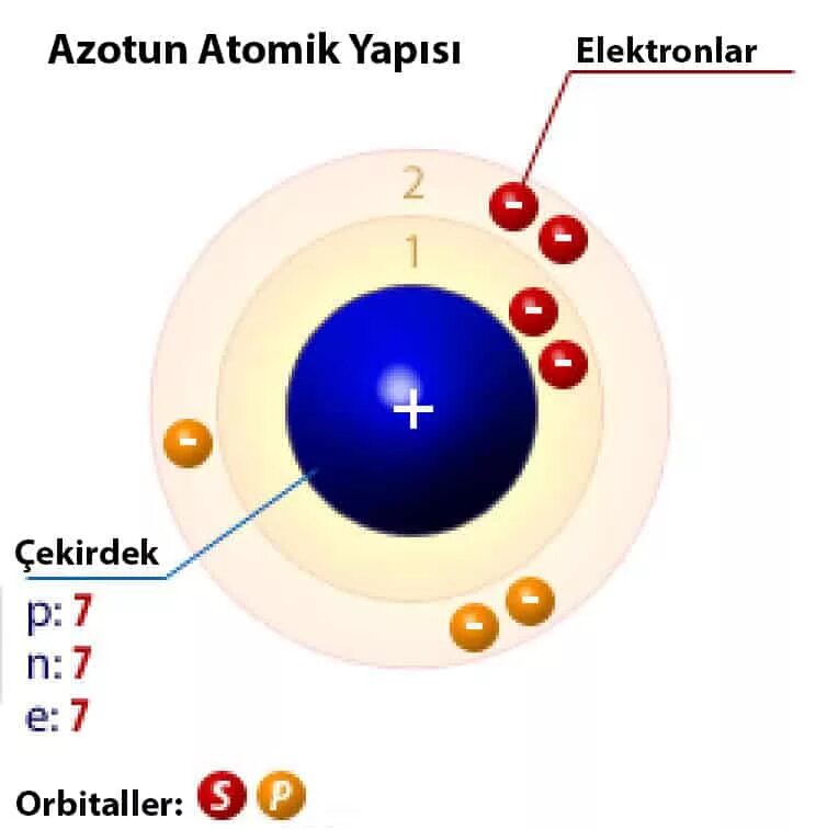 Фтор 9 нейтрон. Кальций протоны нейтроны электроны. Структура атома неона. Ядро и электроны. Строение атома неона.