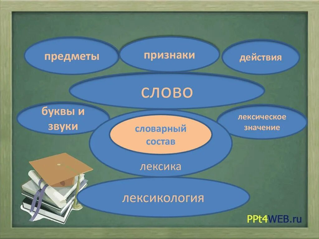 Библиотека лексическое значение. Лексика и лексикология. Что такое лексика 5 класс. Лексика лексикология лексическое значение. Презентация на тему лексика.