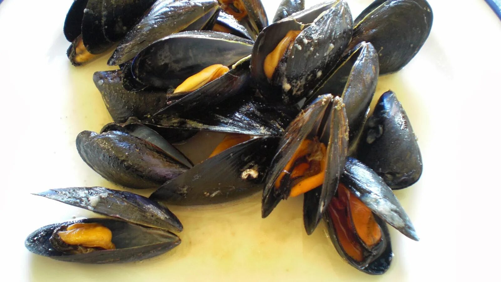 Желудок мидии. Мидии drago. Морепродукты мидии сырые. Мидии двустворчатые 60/80 чили. Живые мидии лед.