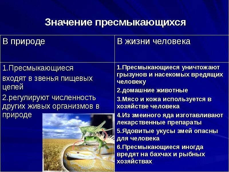 Значение пресмыкающихся в природе. Пресмыкающиеся презентация. Разнообразие древних пресмыкающихся. Охрана пресмыкающихся.