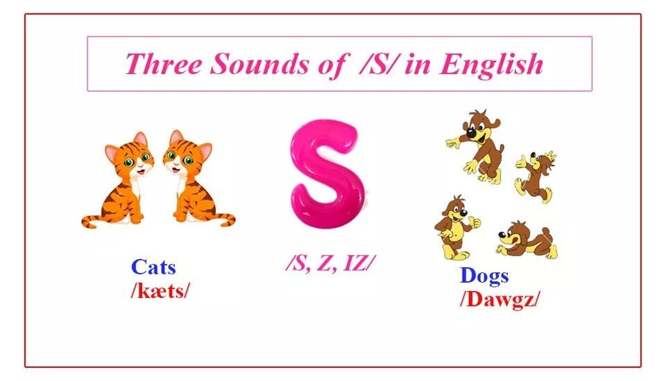 'S in English. Sounds in English. Английские звук з карточки. Буква с английская Cat. Three sound