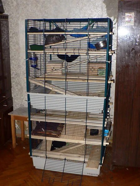 сделать полки в клетку. клетка для крысы своими руками. домики для хорьков. двухэтажная клетка для морской свинки. сделать полки в клетку.