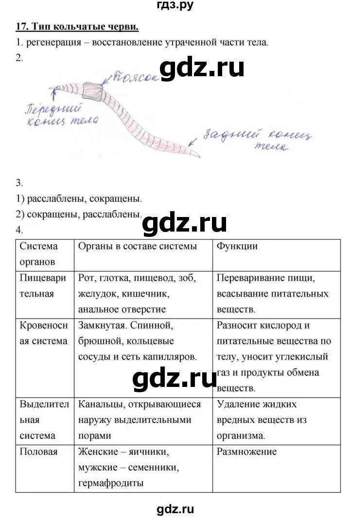 Биология 7 класс рабочая тетрадь тихонова. Биология 7 класс 17 параграф. Биология 7 класс параграф 17 кратко. Биология 17 параграф 7 класс краткое содержание. Рабочая тетрадь по биологии 7 класс Тихонов параграф 17.