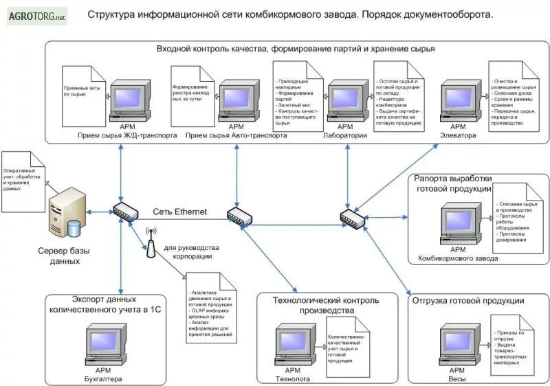 Информационная сеть предприятия. Структура информационной сети. Требования к оборудованию информационных сетей. Информационные сети профессия. Участники организации сеть