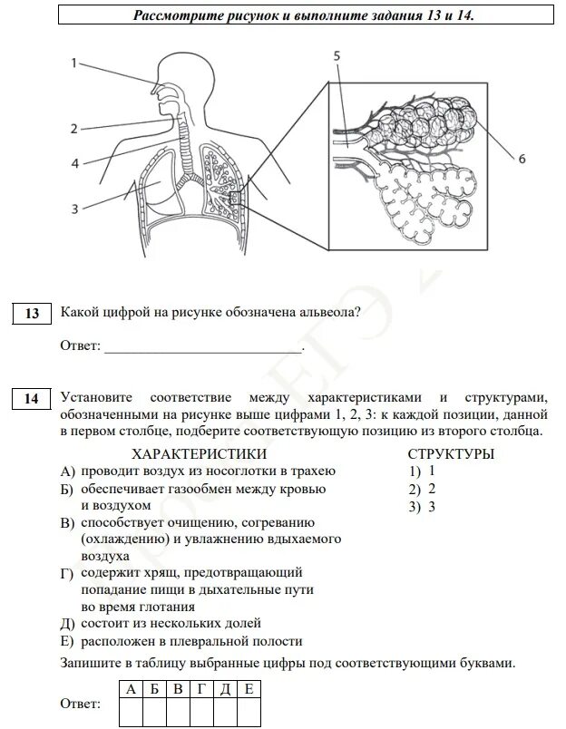 Егэ биология 8 задание. Задания ЕГЭ биология 2023. Анатомия ЕГЭ биология 2023. Задания из ЕГЭ по биологии. Биология (ЕГЭ).