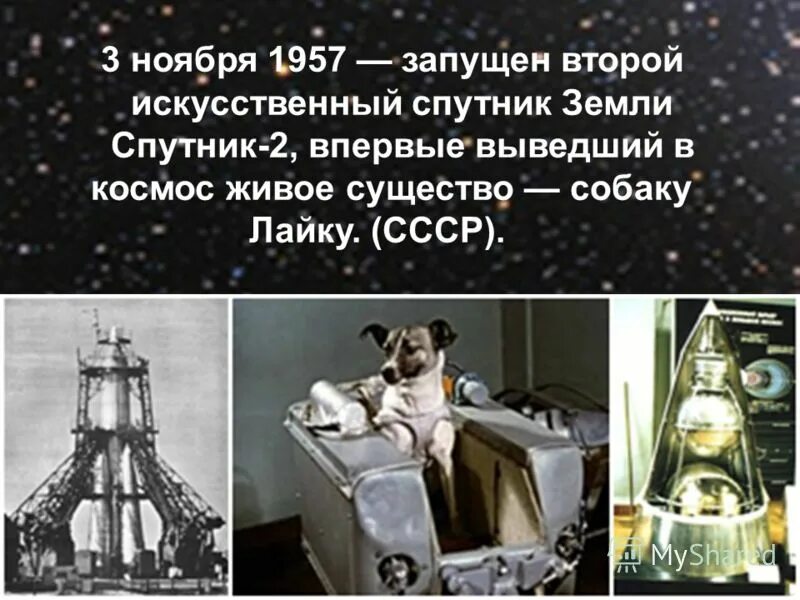 спутник 2 ссср. 3 ноября 1957 был году запущен второй искусственный спутник земли. второй советский искусственный спутник земли. 3 ноября 1957 года – запущен второй искусственный спутник. спутник 2 ссср.
