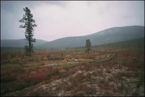 Забайкальская 6