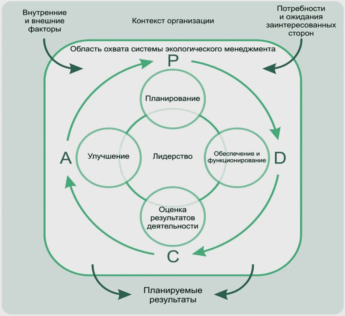 Внутренние факторы контроля. Механизм экологического менеджмента. Экологический менеджмент на предприятии. Организационная структура системы экологического менеджмента. Схема модель системы экологического менеджмента.