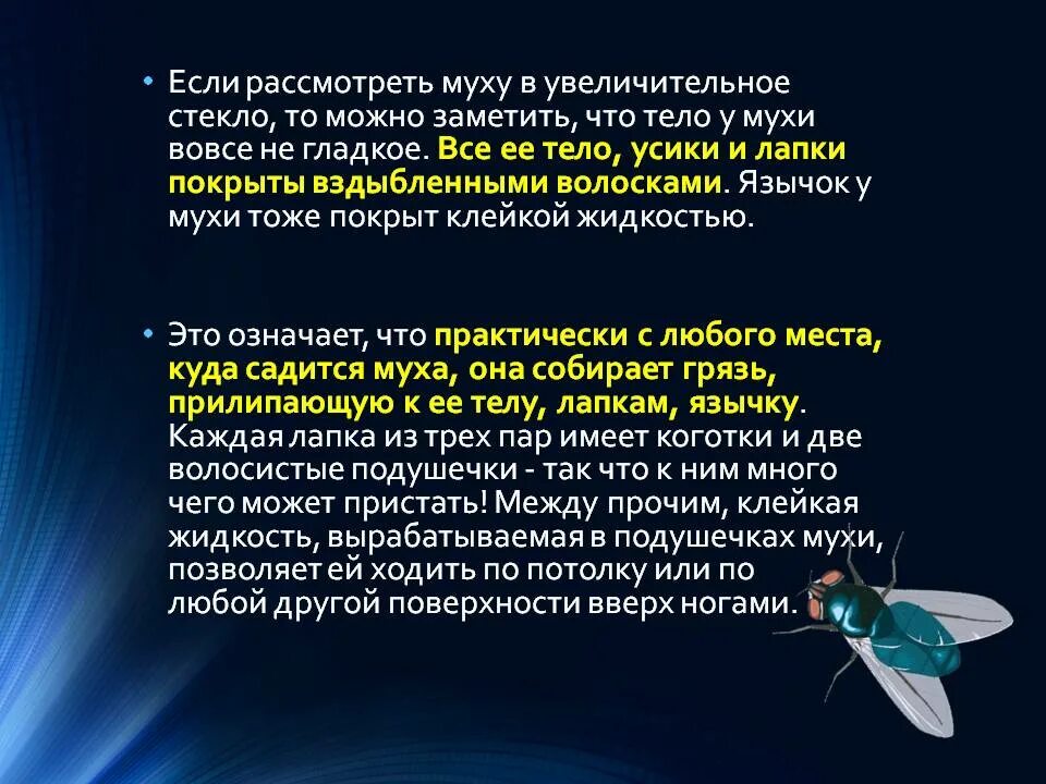 Постановление мухи