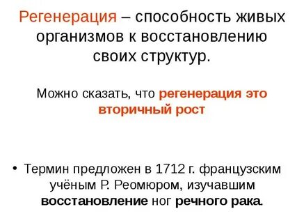 Вторичный рост