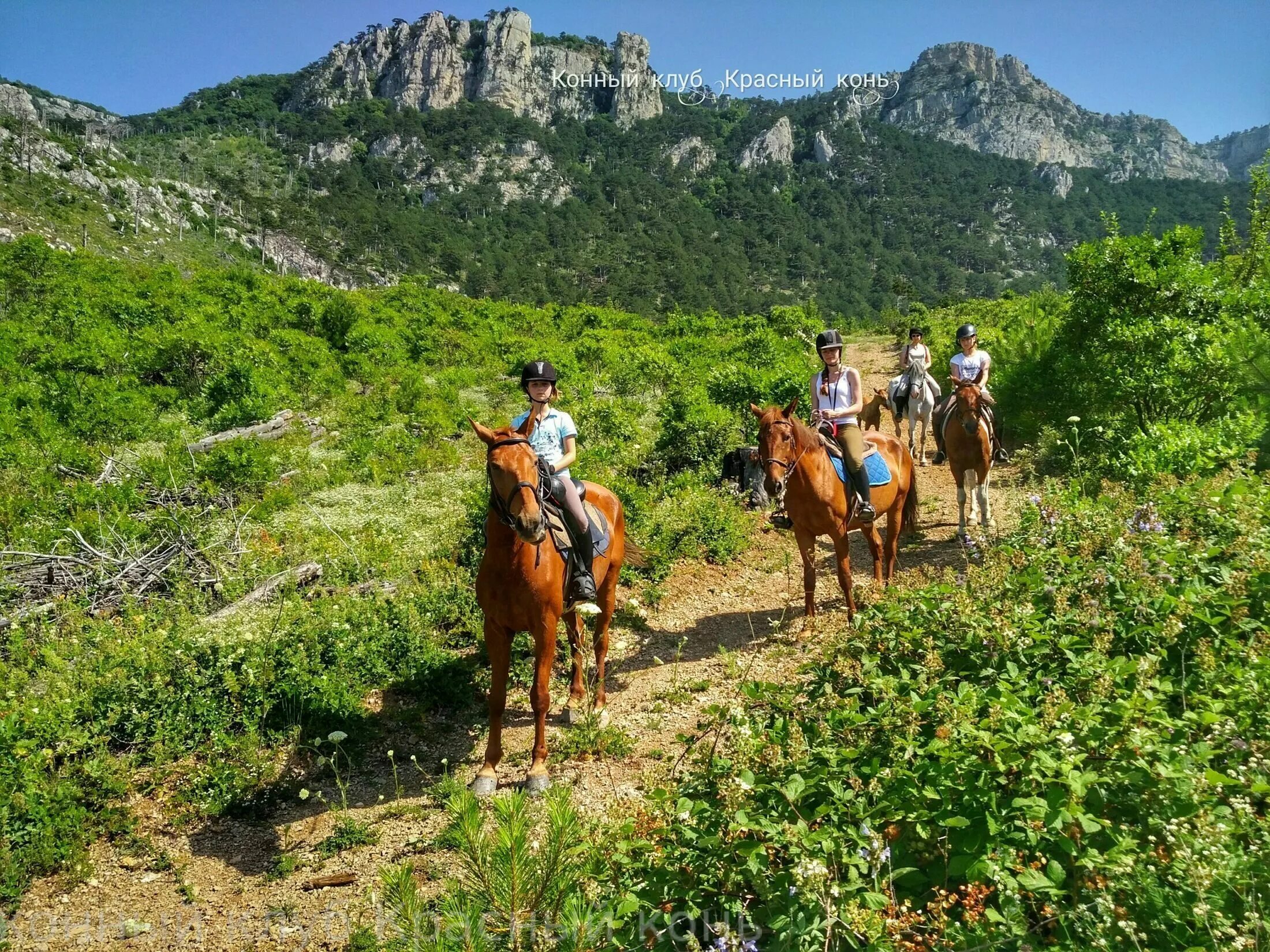 Конные прогулки адлер. Бзыбское ущелье Абхазия конные прогулки. Ай Петри конные прогулки. Конные прогулки Анапа Сукко.