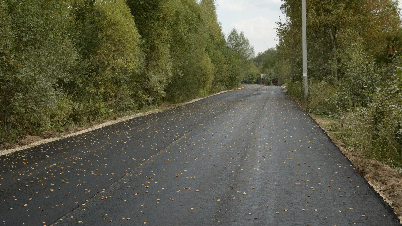 Погода петрино. Петрино вязники. Погода петрино. Погода петрино. Вологодская область деревня даргун.