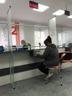 Камеры гомель