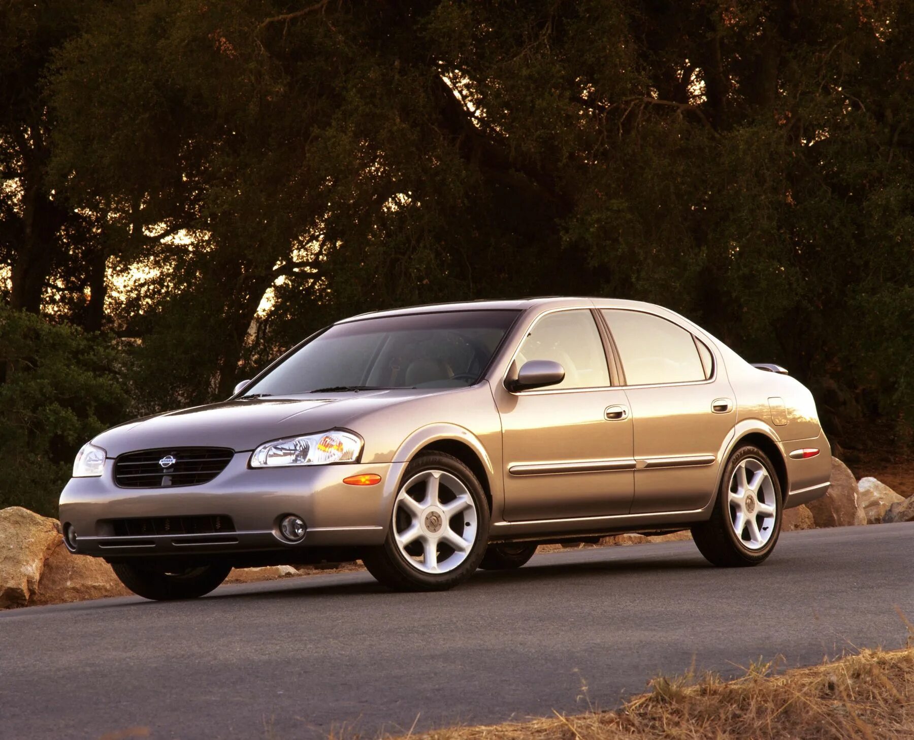 № 29 Однофотопост - Nissan Maxima QX (A33), 3 л, 2002 года фотография DRIVE2