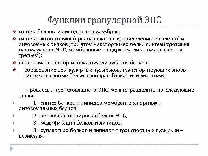 Гранулярная эпс функции. Гранулярная эндоплазматическая сеть функции. функции гранулярной лпс. функция агранулярной эпр.