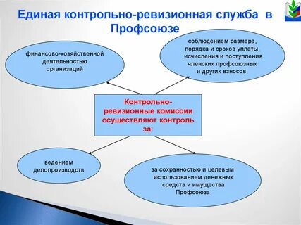 Ревизионные комиссии финансового контроля