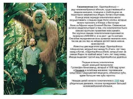 Как называется вымершие древесные человекообразные