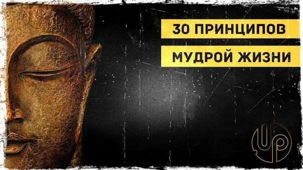 Мудрости жизни 2. Принципы мудрой жизни. 30 Принципов мудрой жизни. Мудрость про принципы. 5 Принципов мудрой жизни.