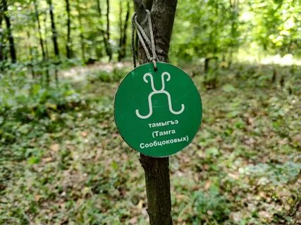 Погода тамга