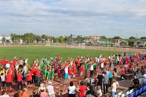 Стадион урожай