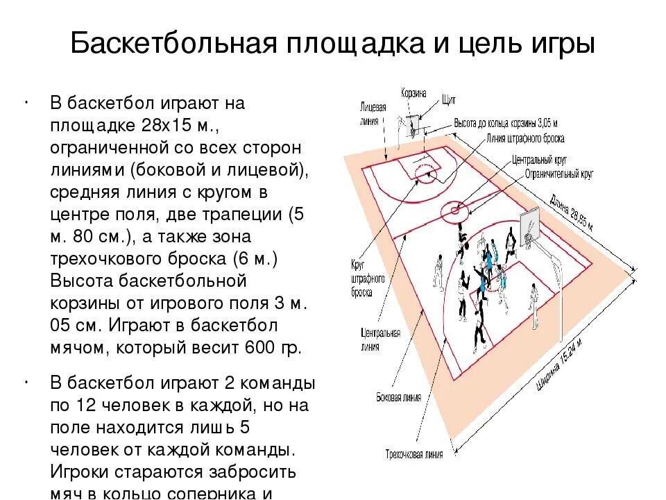 Регламент разметки баскетбольной площадки. Основные правила баскетбола 2 класс. Опишите основные правила проведения соревнований по баскетболу. Правила игры в баскетбол 5 класс.