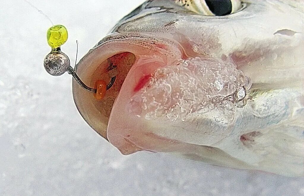 Мормышки для ловли подлещика зимой. Мормышки для зимней рыбалки на плотву чебака. Ловля на мормышку зимой. Мормышки для зимней рыбалки. Ловля окуня летом на мормшь.