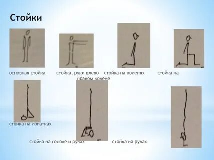 Основная стойка в физкультуре