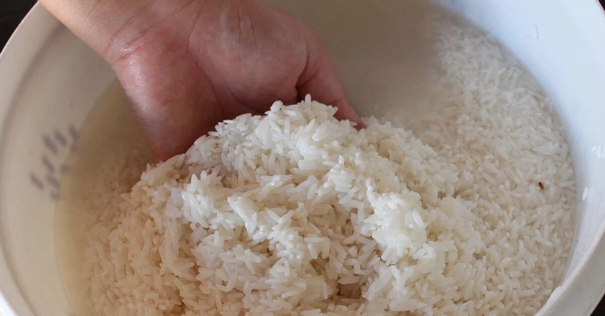 Рис после варки увеличивается. Рисовая вода. Рис промытый рассыпчатый. Рис к воде. Вареный рассыпчатый рис.