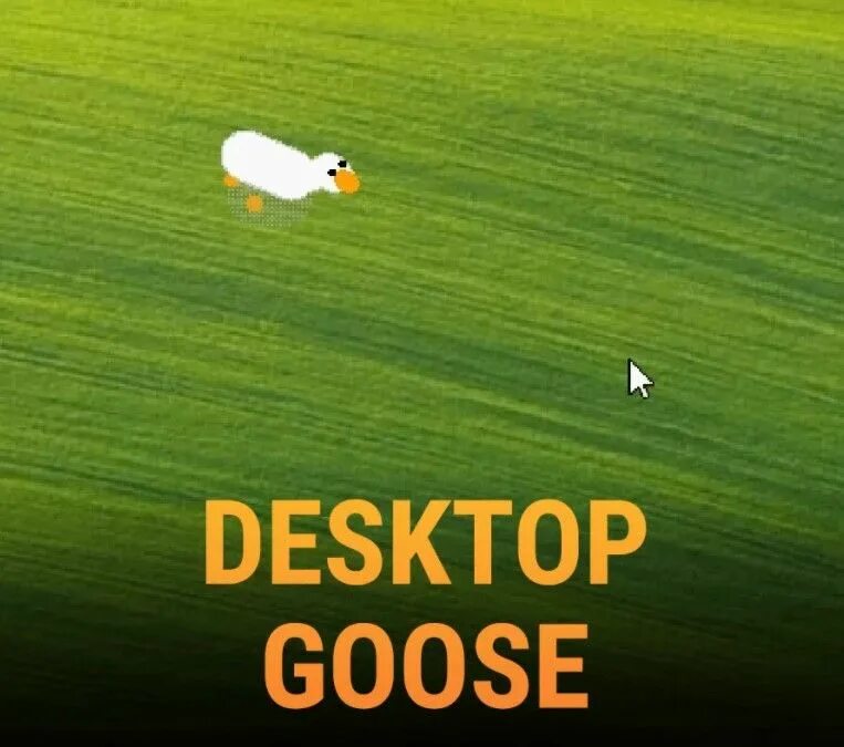 Гусь на рабочий стол игра. Untitled goose game гусь. Goose на рабочий стол. Goose on desktop. Обои на рабочий стол с гусем.