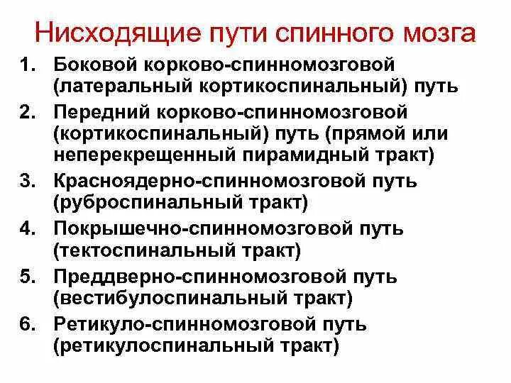 Восходящие и нисходящие пути спинного мозга таблица. Нисходящие двигательные пути спинного мозга. К нисходящим проводящим путям относятся. Проводящие пути спинного мозга таблица восходящие и нисходящие. Основные проводящие пути спинного мозга восходящие.