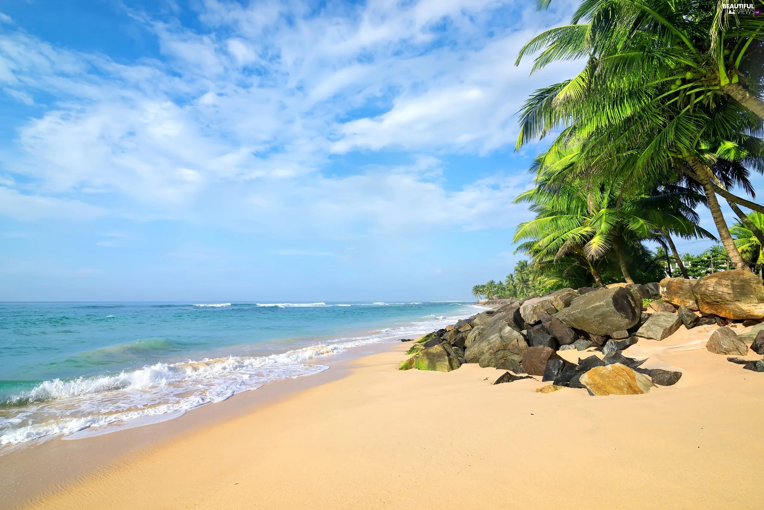Шри ланка температура моря. Шри Ланка море. Шри Ланка пальмы. Шри Ланка океан пальмы. Шри Ланка море пляж.