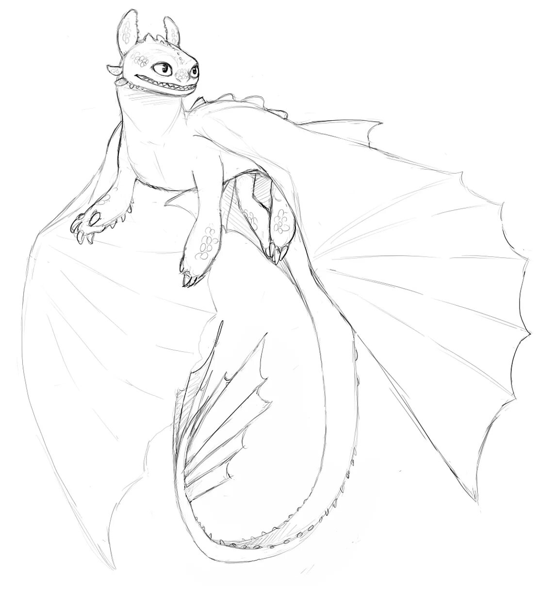 Дракон для срисовки. Раскраска дракон беззубик раскраска. Как нарисовать беззубика из как приручить дракона. Раскраска беззубика и дневной фурии. Беззубик и иккинг раскраска.