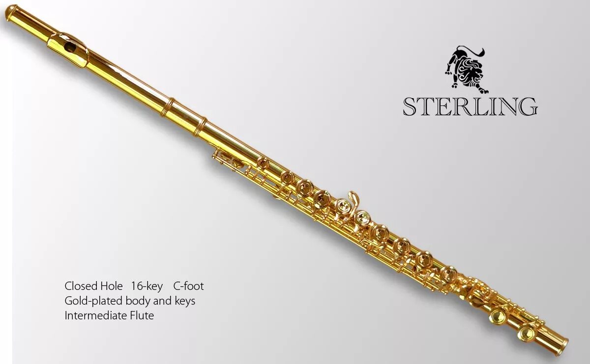 Флейта Ямаха золото. Позолоченные поперечные флейты. Самая дорогая флейта. Золотая Свирель.