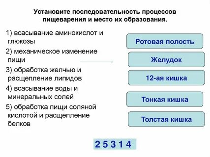 Последовательность процесса образования новых видов