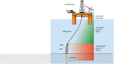 Drilling her