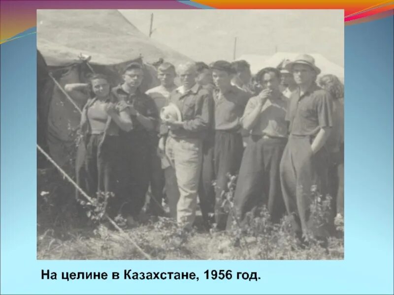 Картофелесажалка целина для минитрактора. Целинный край 1962. Целина или целена. Картофелесажалка целина. Целина или целена.
