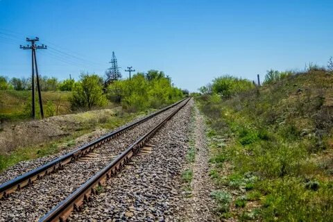 Ростовская область 14