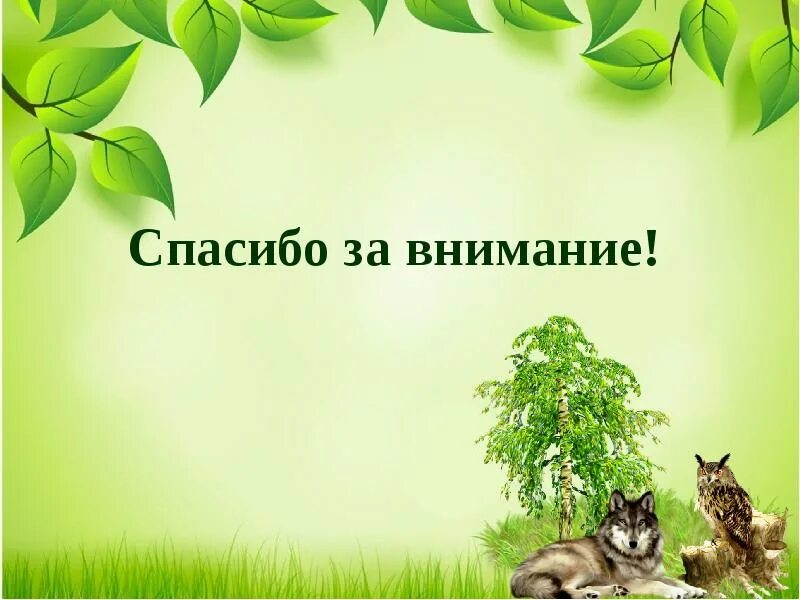 Растения и животные проект 5 класс ПРАКТИЧЕСКАЯ РАБОТА РАСТИТЕЛЬНЫЙ И ЖИВОТНЫЙ МИР ЗЕМЛИ photos