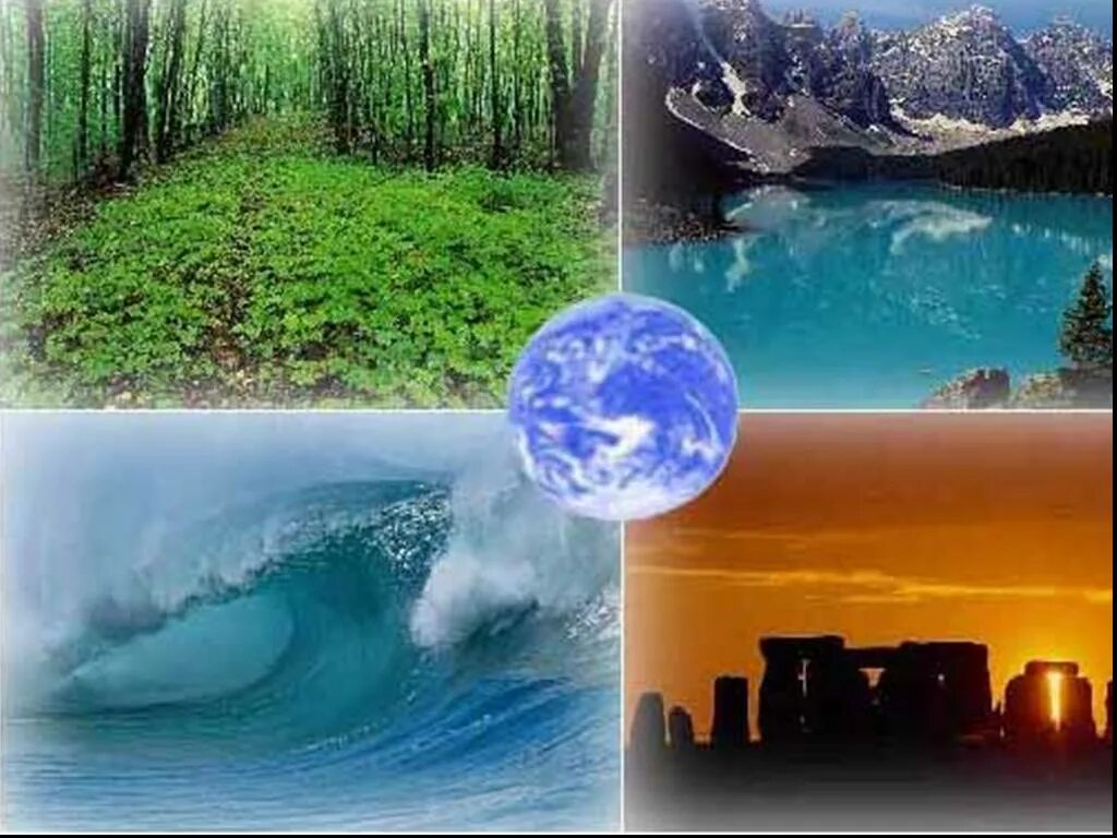 Какое значение имеет окружающая среда для каждого. Земля наш дом. Защита окружающей среды. Природная среда. Экология картинки.
